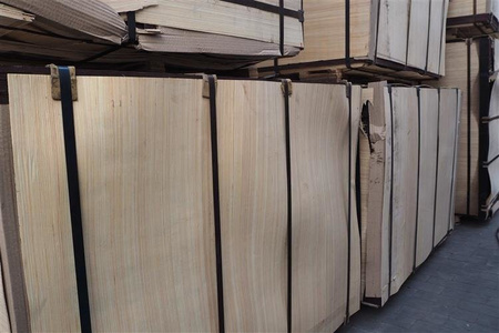 sklejka szalunkowa premium 21mm 1,25 x 2,5 m AKACJA